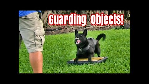 How to Teaching Dogs to Guard Objects and People ?
