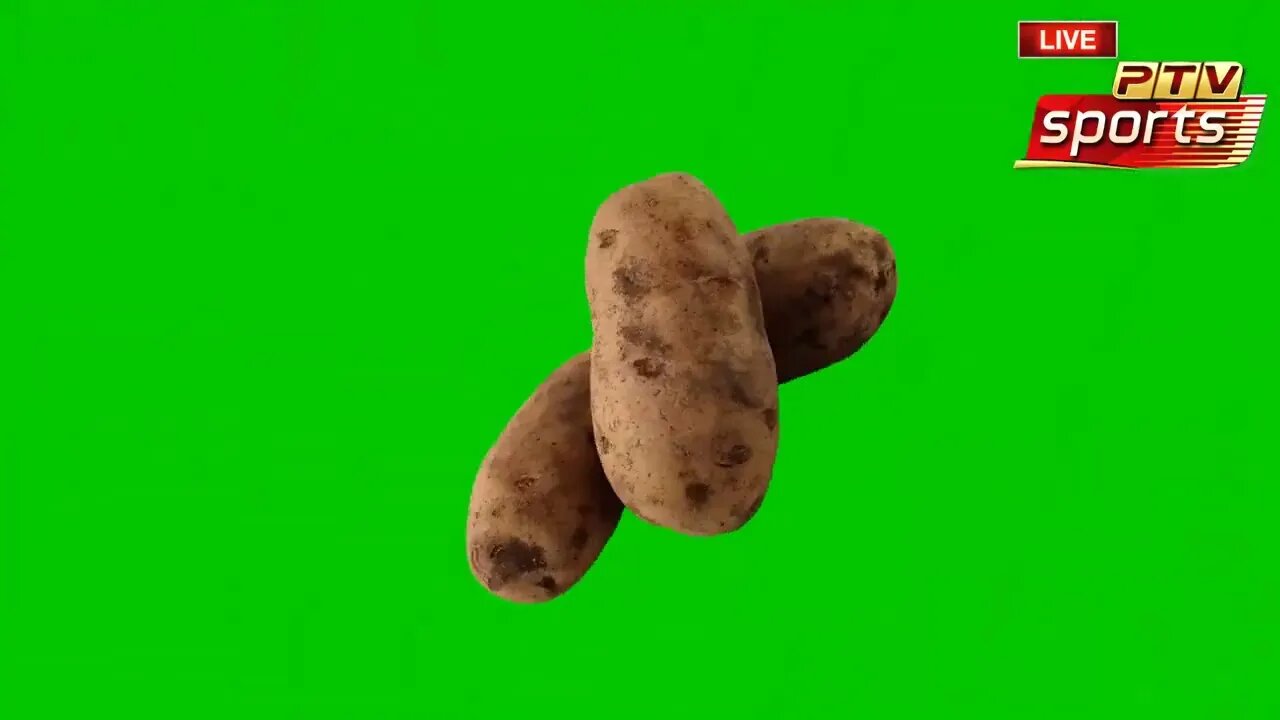 POTATO - Get a job