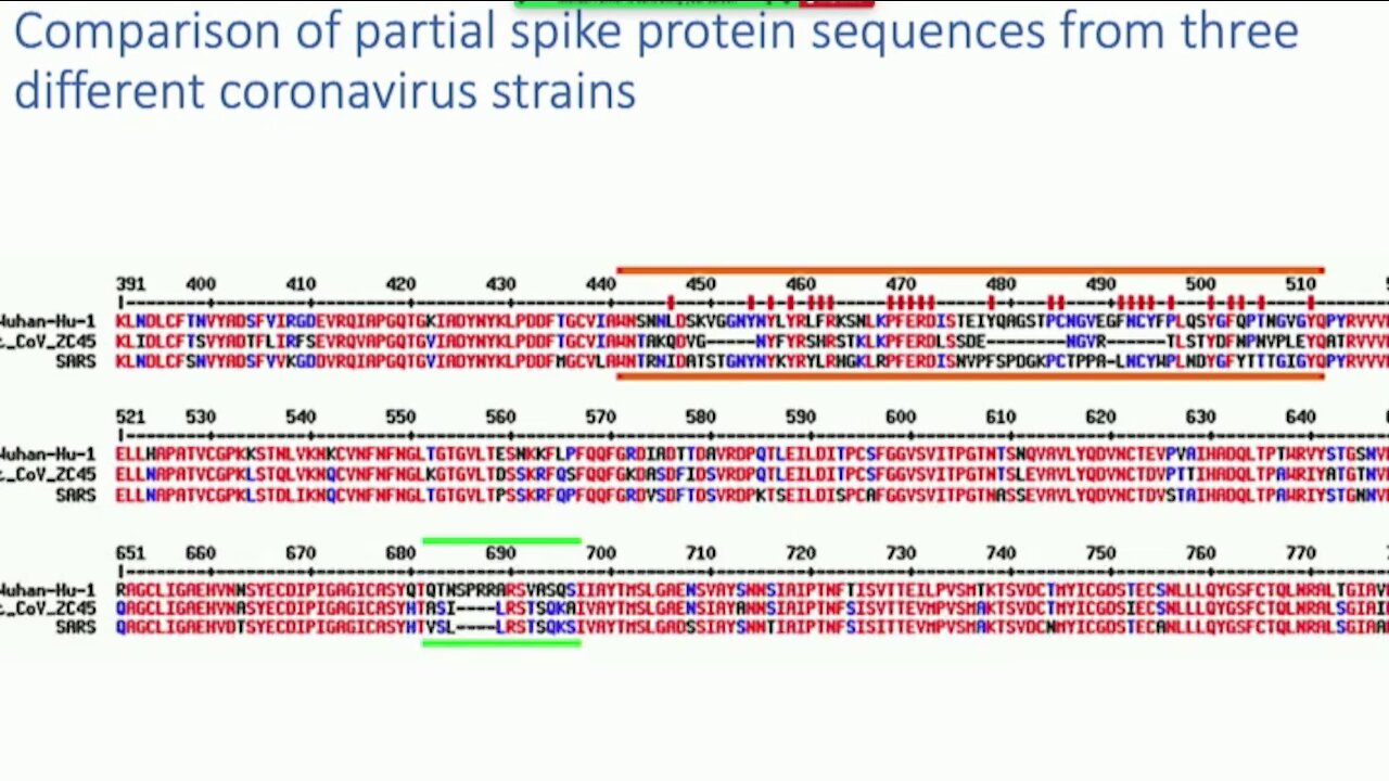 The SARS-COV2 Genome — The evidence of its artificial origin