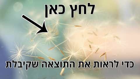 מבחן התשוקה - המניע שלך הוא אהבה