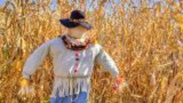 Make A Scarecrow