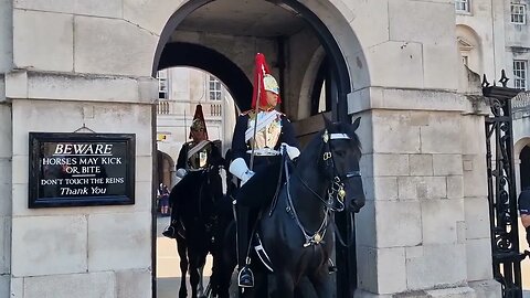 Tourist breakes the rules #horseguardsparade