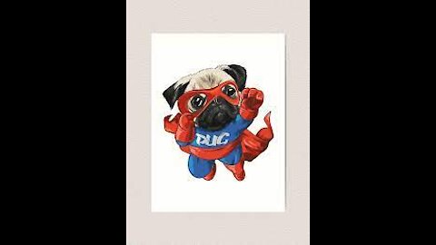 Cute and funny animal compilation