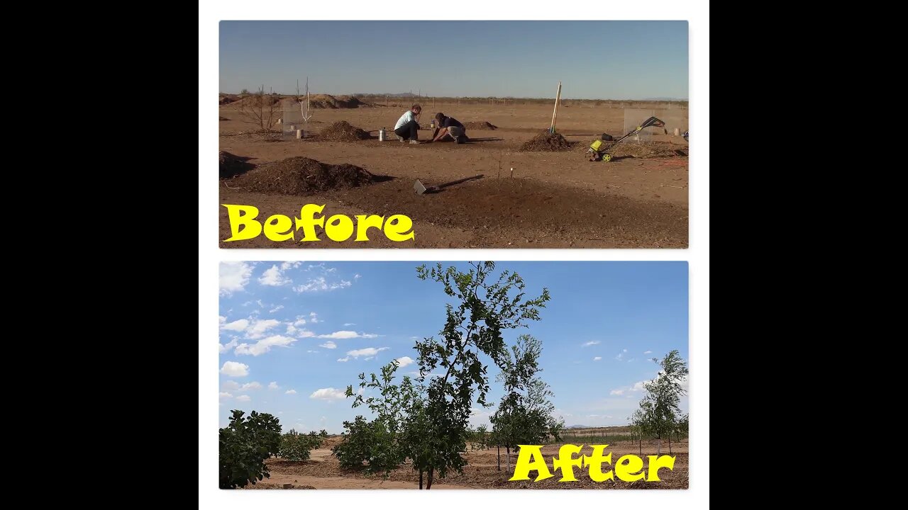 Our 2 Year Journey | Building a Regenerative, Desert Farm