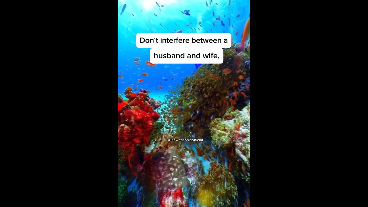 Don't interfere between a husband and wife!!!
