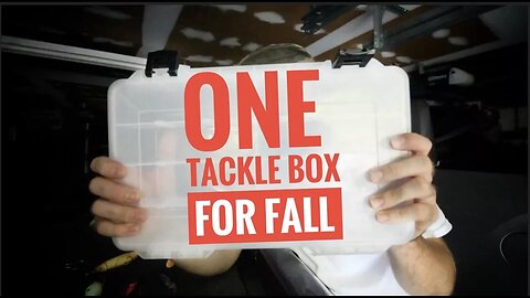 ONE TACKLE BOX FOR FALL BASS FISHING???