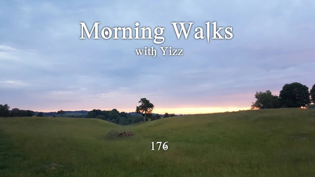 Morning Walks with Yizz 176