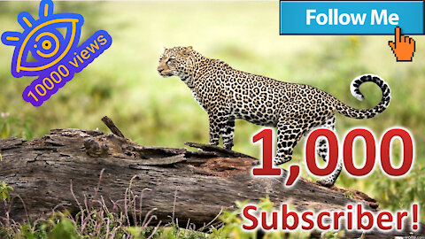 #WildLife |Nature IN Jungle| HD Status_WildLife Status|TMI|