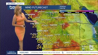 ABC 10News Pinpoint Weather with Meteorologist Leah Pezzetti