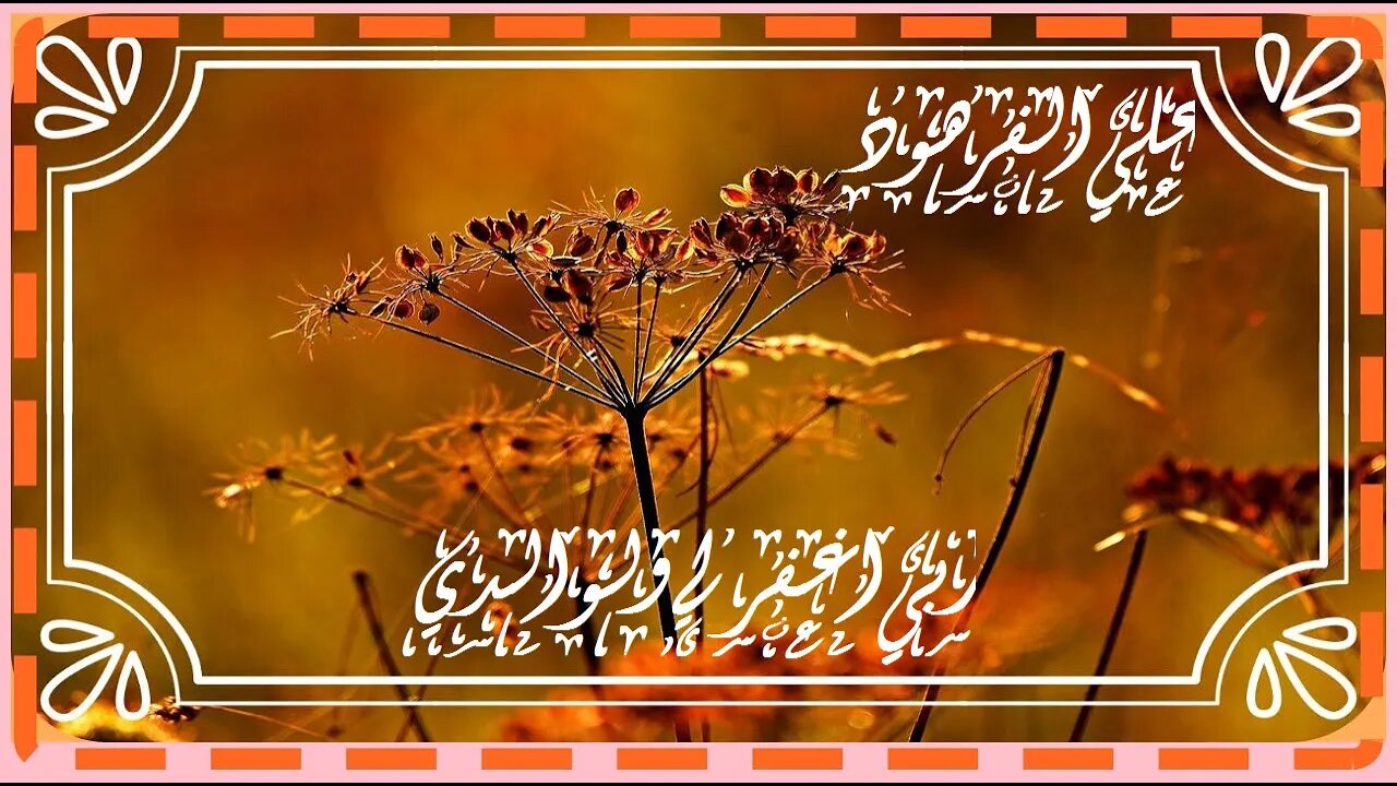 تلاوة جميلة و رائعة جداً@nsrm11