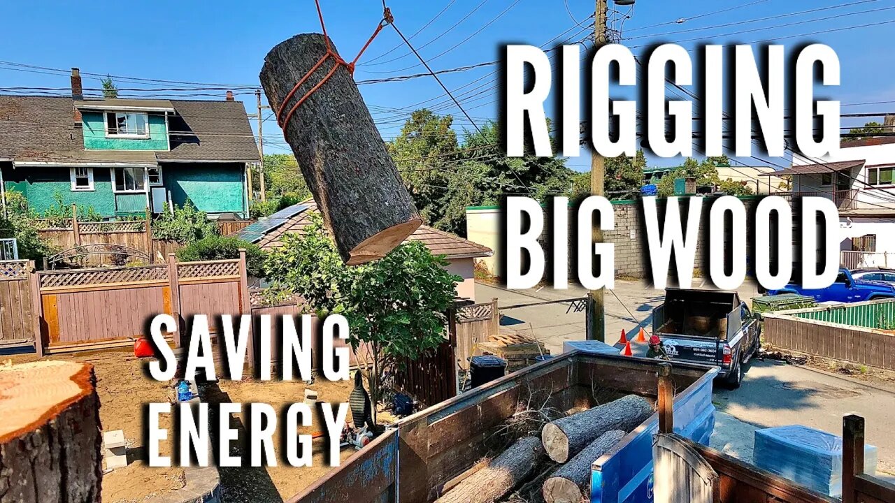 100ft dead Hemlock removal | Rigging down some big wood