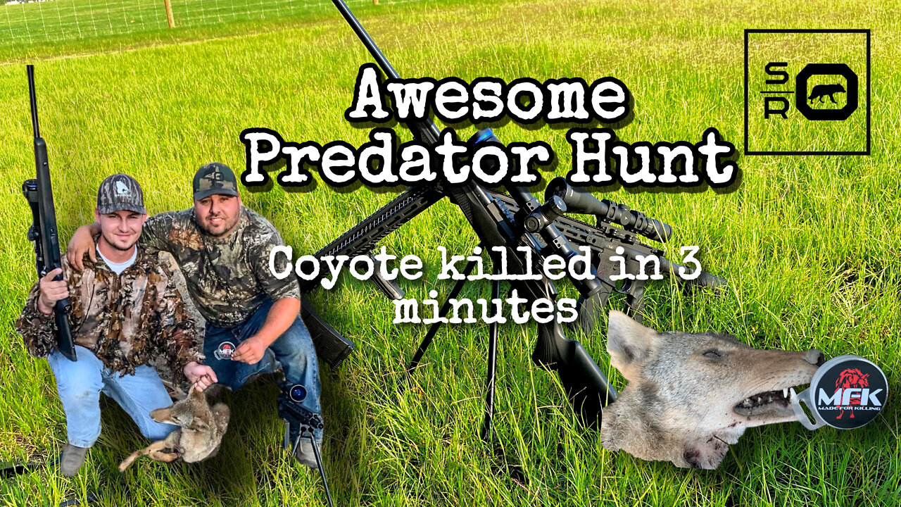 Awesome Predator Hunt -- Coyote Killed In Under 3 Minutes