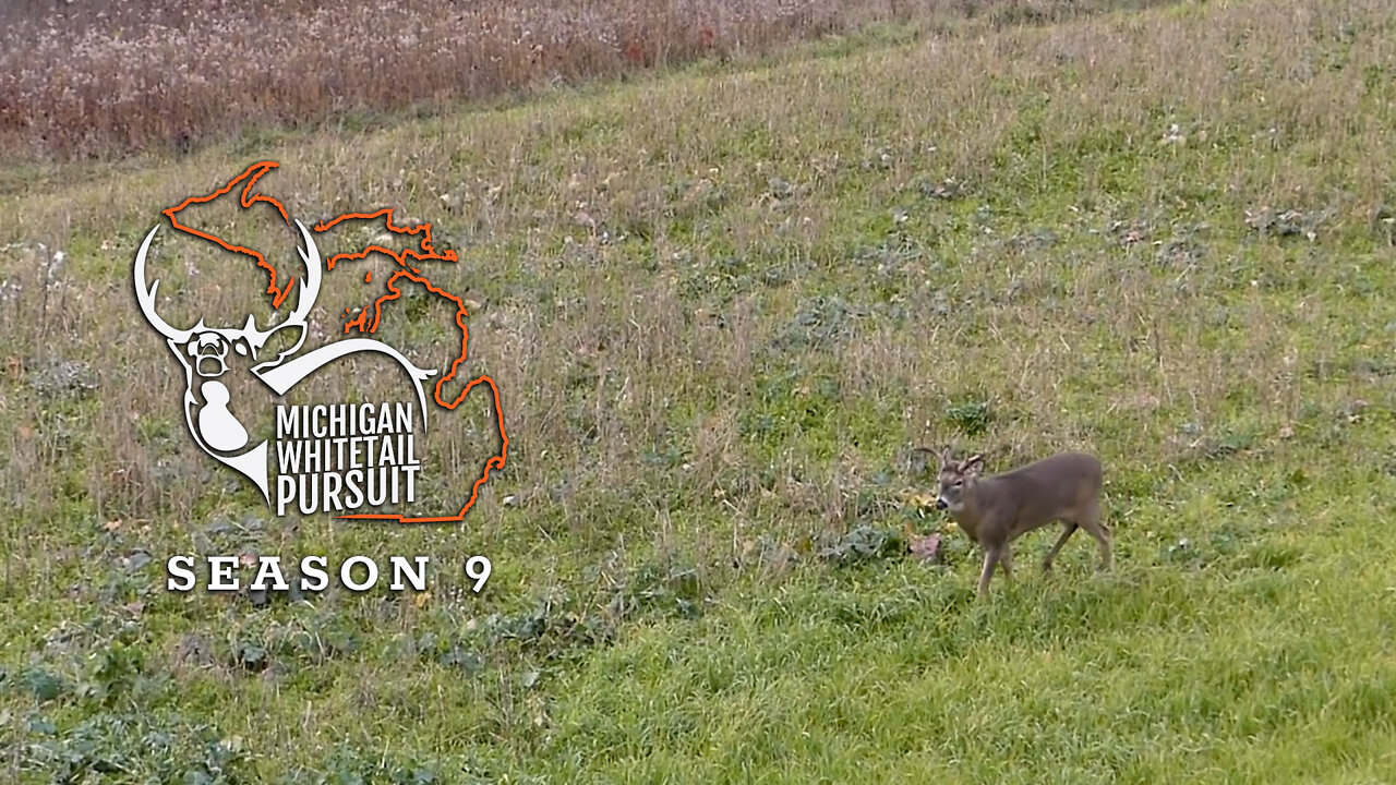 2018 Michigan Archery 2 Great Michigan Bucks Follow the Script - MWP S9 E5