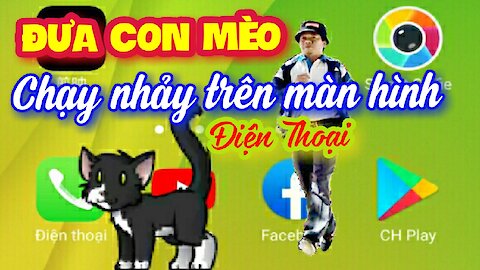 Đưa con mèo lên màn hình điện thoại