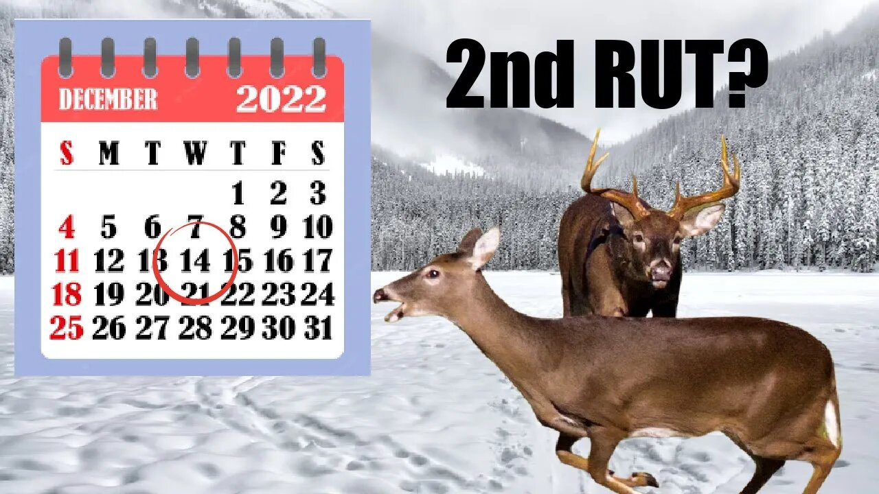 When is the 2nd RUT?