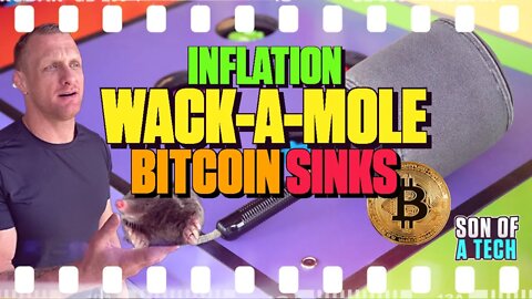 Inflation Wack-A-Mole... Bitcoin Sinks.. - 209