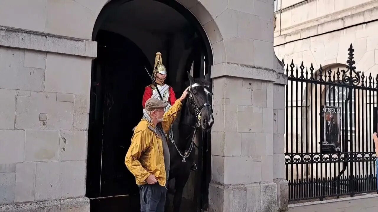 Old chap kisses the Horse #horseguardsparade