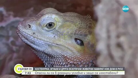 Екзотични животни намират нов дом в екомузей в Русе