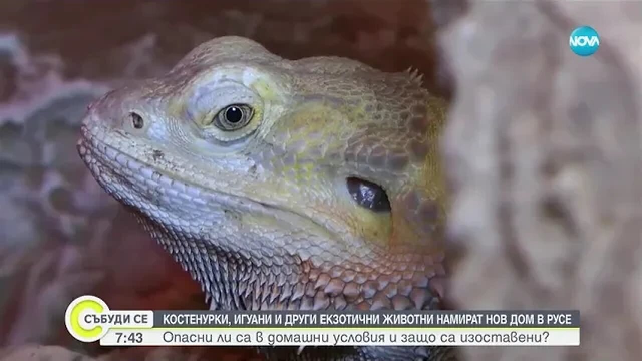 Екзотични животни намират нов дом в екомузей в Русе