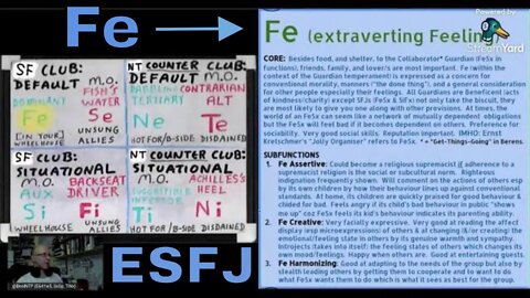 #Fe_Sx (ESFJ ≊ SOCIONICS E.S.E.): Extraverting Feeling (Fe) use & its #JungianSubfunctions