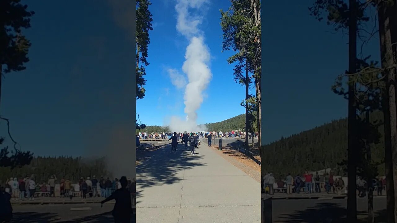 Old Faithful erupting