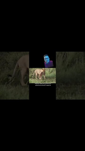 Do animals help other animals?