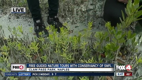 Naturalists with Conservancy of SW Florida offer free guided nature tours daily in Naples