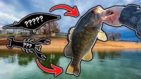 Searching for BIG BASS in SUPER tough conditions!