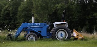 Farmstead Mid Summer