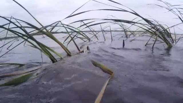 Irma dealt huge blow to Lake Okeechobee