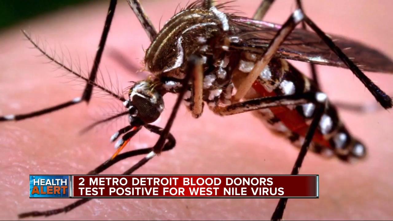 Ask Dr. Nandi: Blood donors test positive for West Nile Virus in Metro Detroit