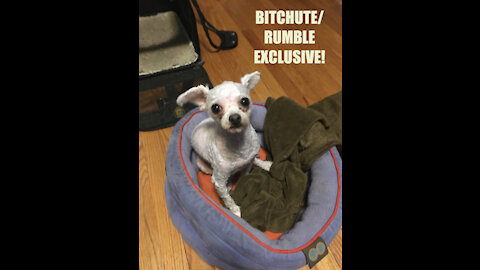 Rumble/Bitchute Exclusive Hot Take: Sept 7th News Blast!