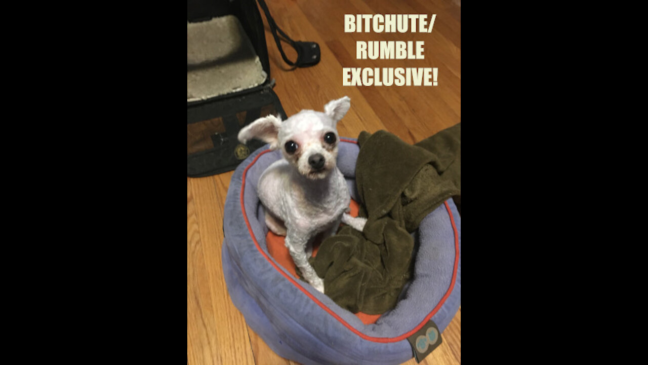 Rumble/Bitchute Exclusive Hot Take: Sept 7th News Blast!
