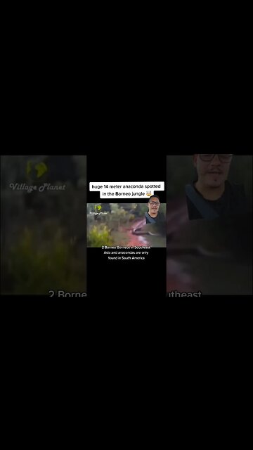 Fourteen meter Anaconda found ???