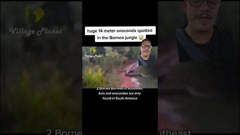 Fourteen meter Anaconda found ???