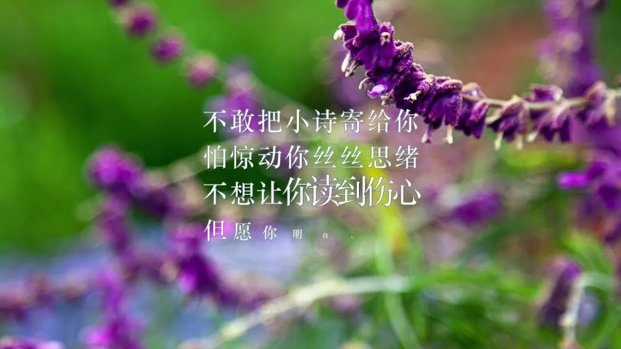 只因为不想失去你 (二) [Just because I don't want to lose you(2)], Dahuo Poem, Plant Photos & Ambient Music.