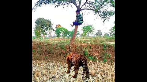 Tiger attack on man trending funny vfx magic video shorts shortsvideo youtubeshorts ytshorts