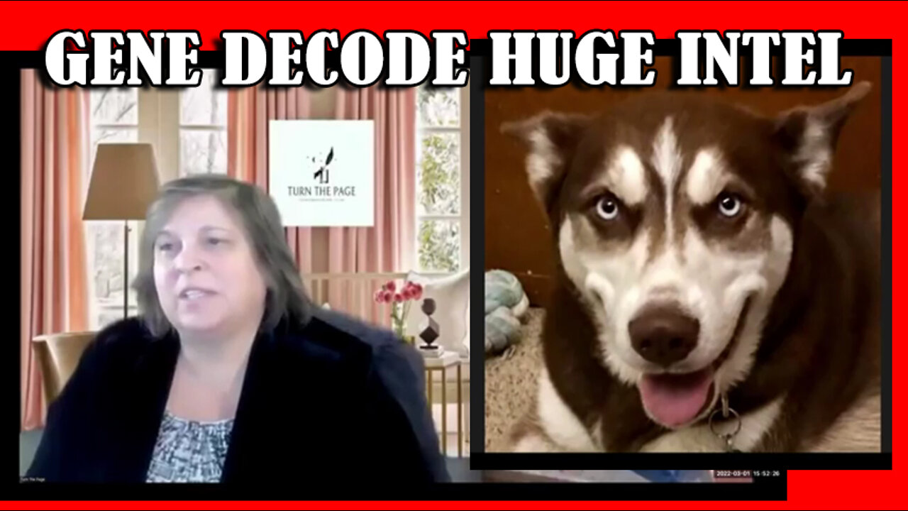 Gene Decode & Janine: Huge Intel Drop!