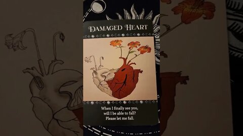 Meet The Artist's Of The Secret Art Of Love Oracle Deck ♥️ #tarot #Oracle #Astrology #zodiac