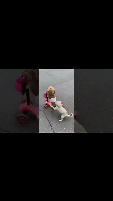 Is this a Mirror of Humanity ?