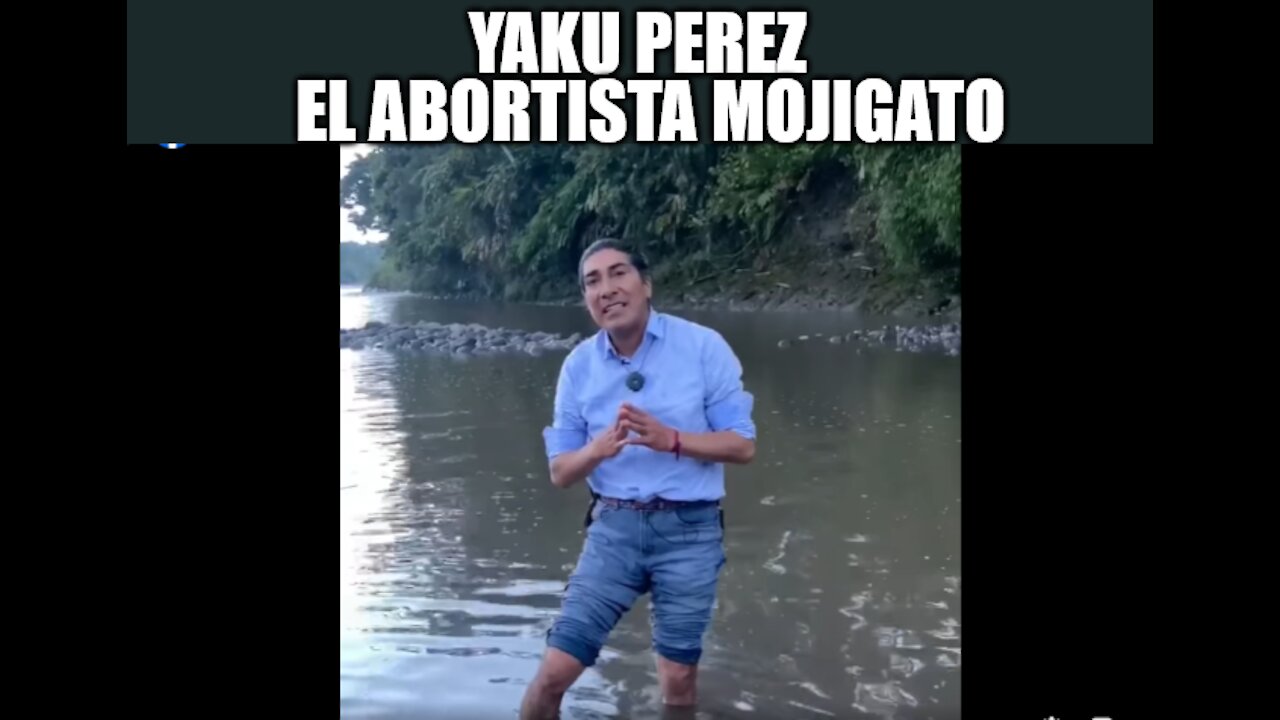 YAKU PEREZ : MOJIGATOS