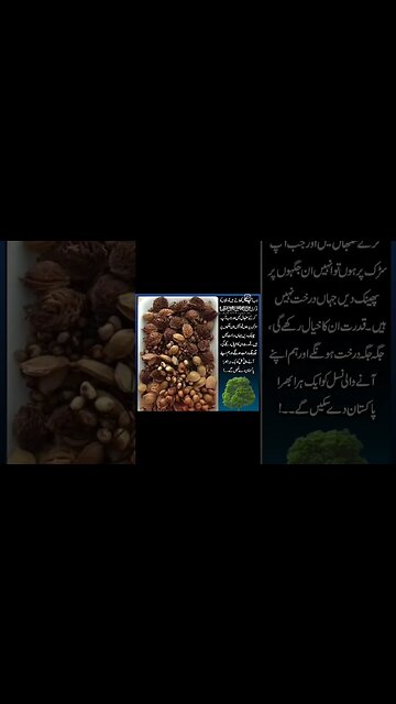 Keep Your Country green with minimum efforts. #CookingWithHira