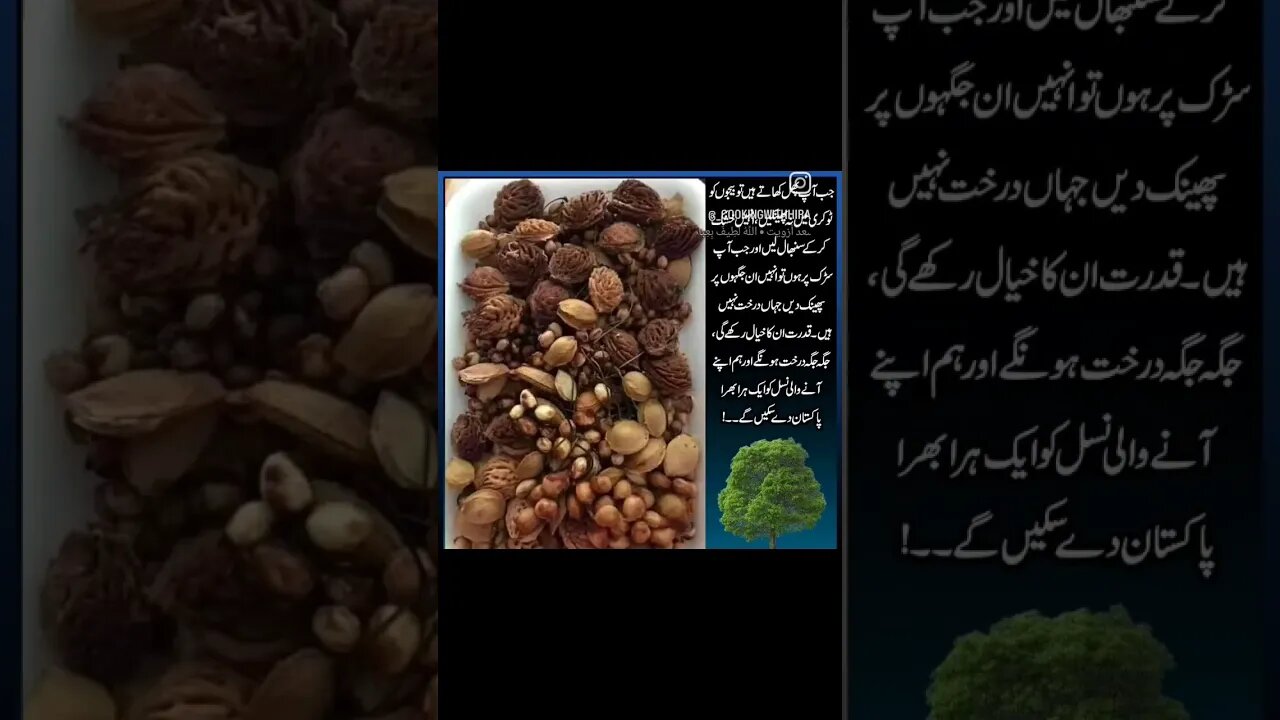 Keep Your Country green with minimum efforts. #CookingWithHira