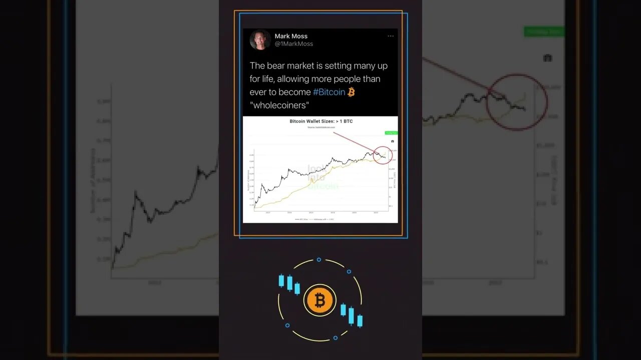 #shorts #ytshorts #crypto #bitcoin #sovereignty