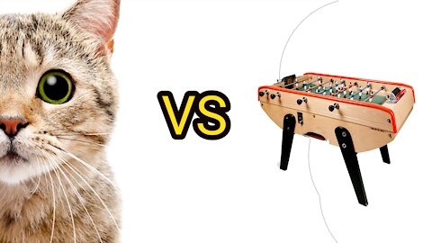CATS VS BABY FOOT 2021