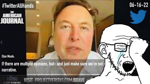 New Project Veritas Video Shows Twitter “All-Hands” Meeting With Elon Musk