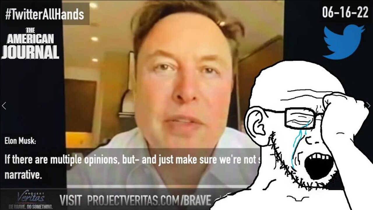 New Project Veritas Video Shows Twitter “All-Hands” Meeting With Elon Musk