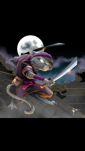 😎Insolent Ninja Cat🐱😂