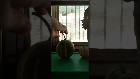 I took a melon from a scarecrow