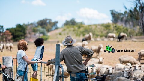 Funny | Family Farm